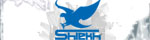 Click to Open ShiekhShoes.com Store